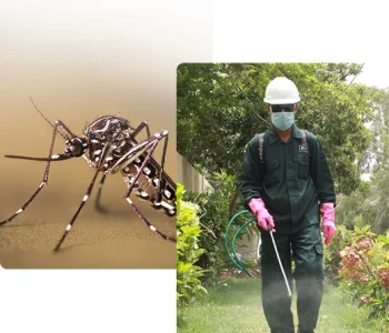 6874ebb34459180044050ec6