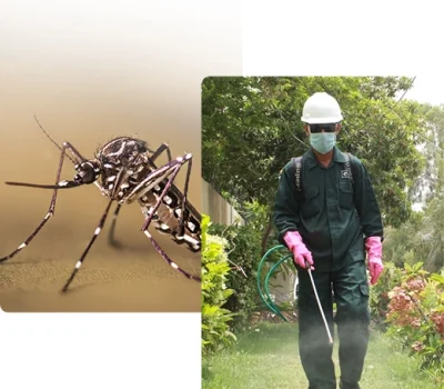 6874ebb34459180044050ec6