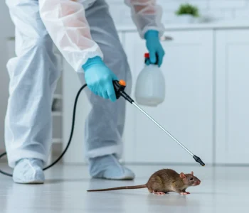 Rodent-control-services-scaled
