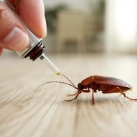 WhatsApp Image 2026-03-13 at 5.25.09 PM