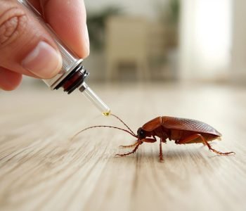 WhatsApp Image 2026-03-13 at 5.25.09 PM