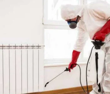 anupma-pest-controller-india-chander-lok-delhi-pest-control-services-5yefthnh4h-250