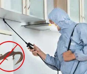 lizard-control-service