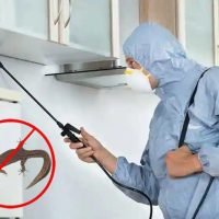 lizard-control-services